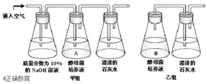 www.xiangpi.com