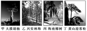 www.xiangpi.com