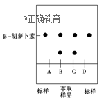 www.xiangpi.com