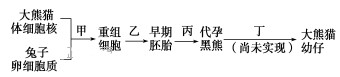 www.xiangpi.com