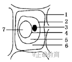 www.xiangpi.com