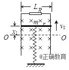 www.xiangpi.com