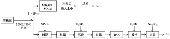 www.xiangpi.com