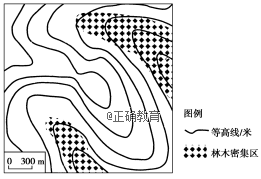 www.xiangpi.com