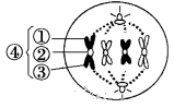 www.xiangpi.com