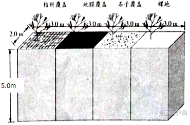 www.xiangpi.com