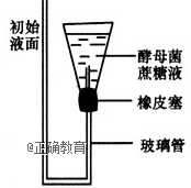 www.xiangpi.com