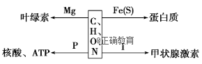 www.xiangpi.com