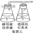 www.xiangpi.com