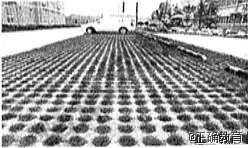 www.xiangpi.com