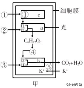 www.xiangpi.com