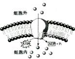 www.xiangpi.com