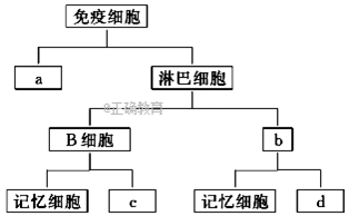 www.xiangpi.com