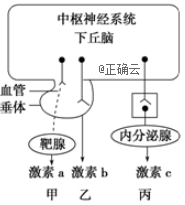 www.xiangpi.com