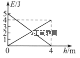 www.xiangpi.com