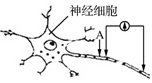 www.xiangpi.com
