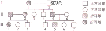 www.xiangpi.com