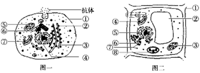 www.xiangpi.com