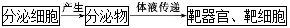 www.xiangpi.com