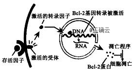 www.xiangpi.com