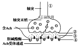 www.xiangpi.com