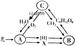 www.xiangpi.com