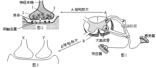 www.xiangpi.com