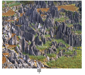 www.xiangpi.com