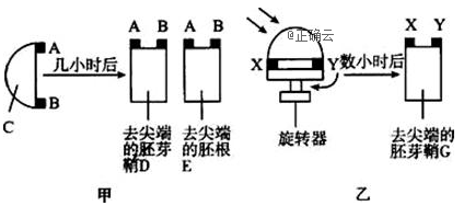 www.xiangpi.com
