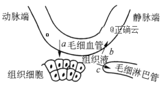 www.xiangpi.com