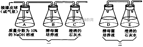 www.xiangpi.com