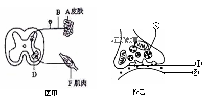 www.xiangpi.com