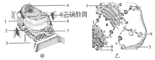 www.xiangpi.com