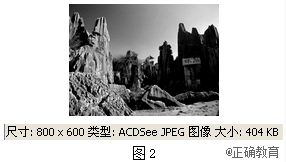 www.xiangpi.com
