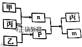 www.xiangpi.com
