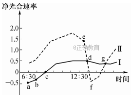 www.xiangpi.com