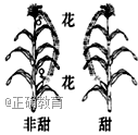 www.xiangpi.com