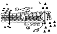www.xiangpi.com