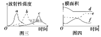 www.xiangpi.com