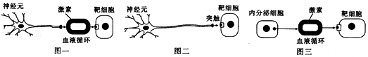 www.xiangpi.com
