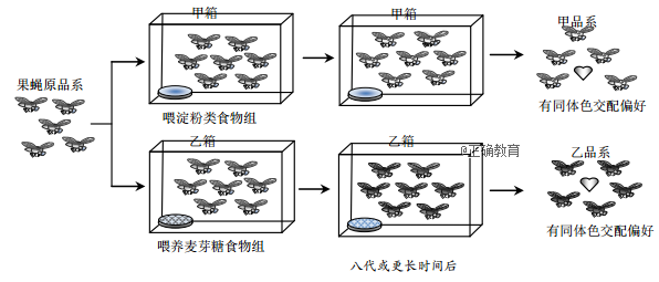 www.xiangpi.com