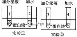 www.xiangpi.com