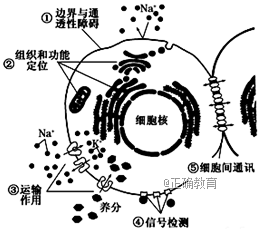 www.xiangpi.com