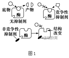 www.xiangpi.com