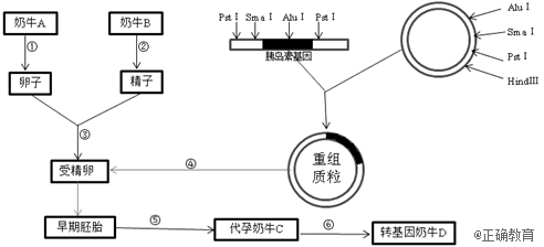 www.xiangpi.com