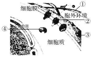www.xiangpi.com