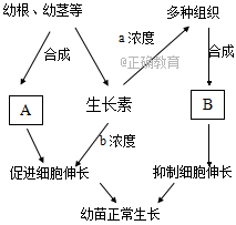 www.xiangpi.com