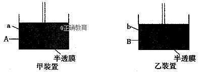 www.xiangpi.com