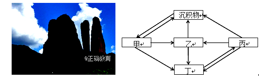 www.xiangpi.com