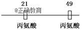 www.xiangpi.com